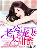 老公宠妻太甜蜜全文免费正版